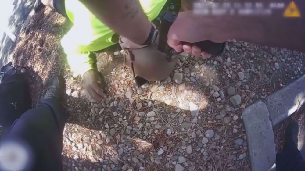 US police officers arrested over brutality