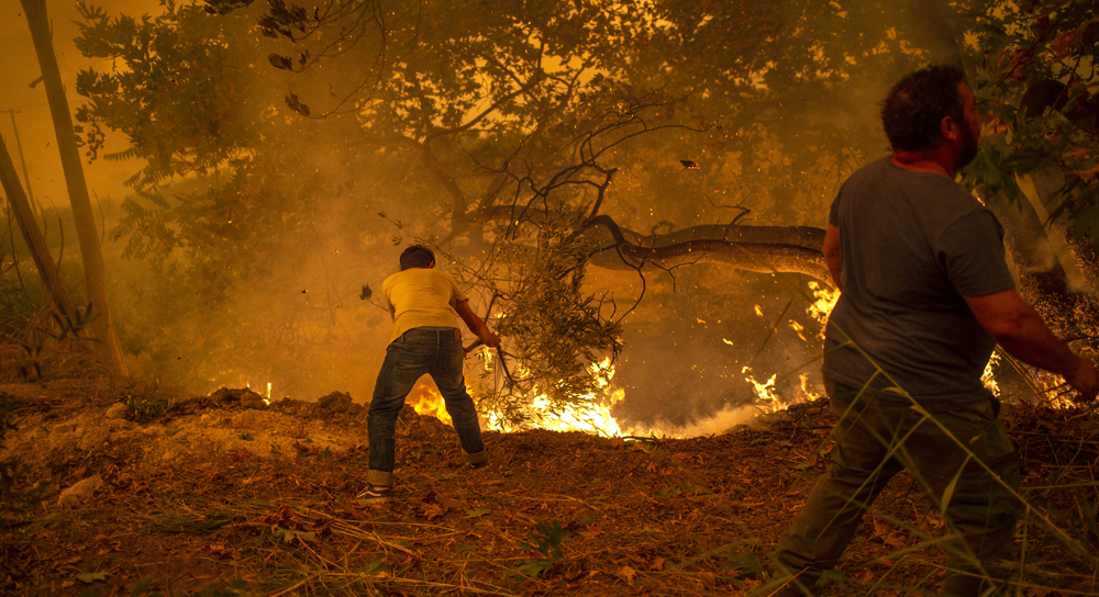 Greece Wildfire