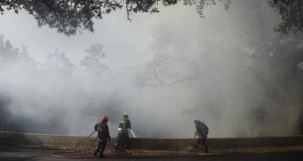 Thousands evacuated in southern France as 'fierce' wildfire spreads 