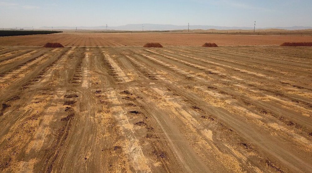 ‘Devastating’ situation: Historic drought threatens US food supply 