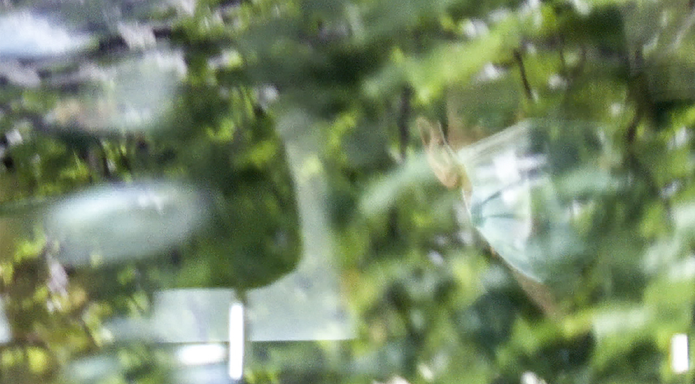 Car believed to hold Djokovic leaves Australia detention facility