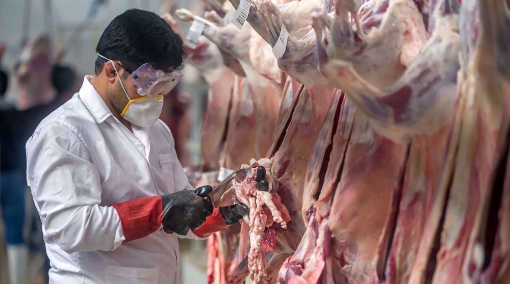 Iran says domestic meat supply rose 52% y/y in December