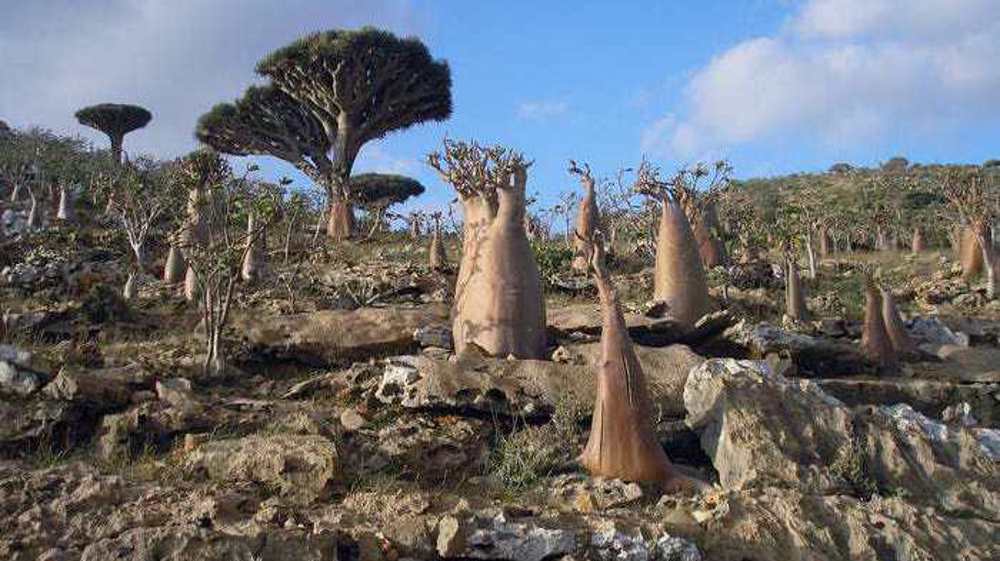Report: UAE establishing second military airport on Yemen's Socotra island