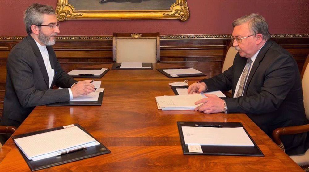 Russia-Iran coordination prerequisite of successful Vienna talks: Lead negotiator