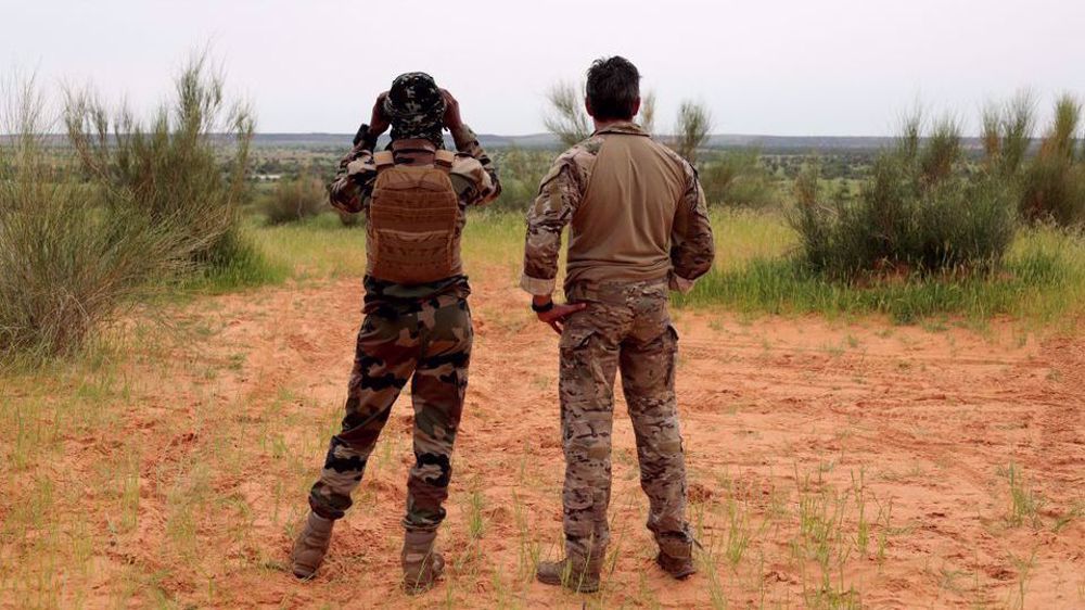 Mali asks Denmark to immediately withdraw French-led troops 
