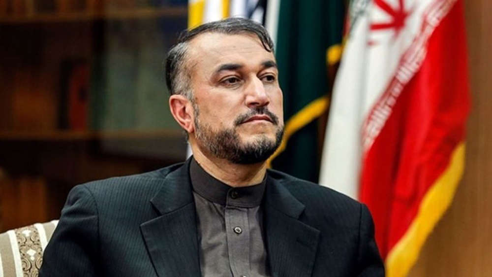 Iran resolved to reach ‘lasting, reliable’ agreement in Vienna: FM