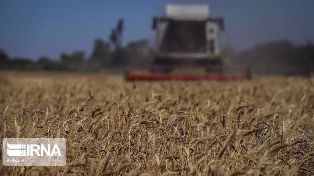 Iran unveils farming roadmap to boost output and efficiency