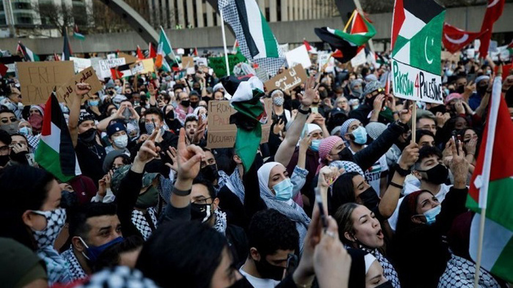 Academics in Canada face harassment, suppression for speech on Palestine