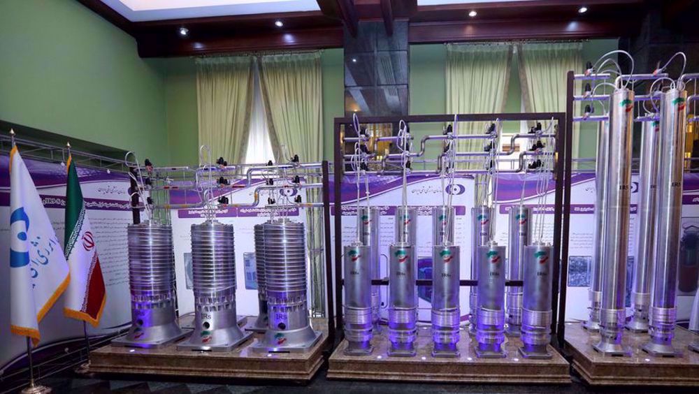 Iran's nuclear industry invincible, no option left but diplomacy: AEOI