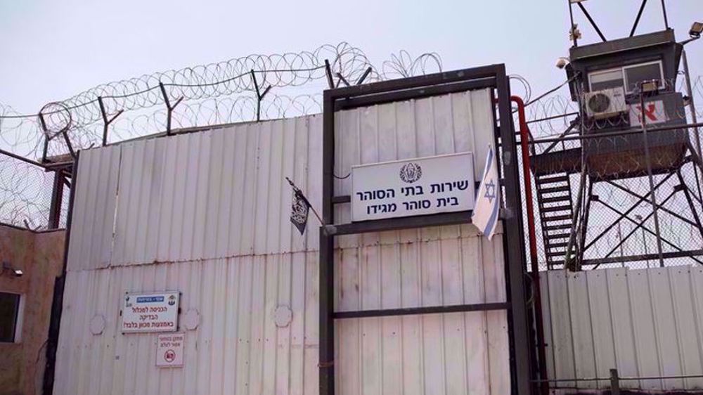 ‘280+ Palestinian prisoners held in Israeli jails for over two decades’
