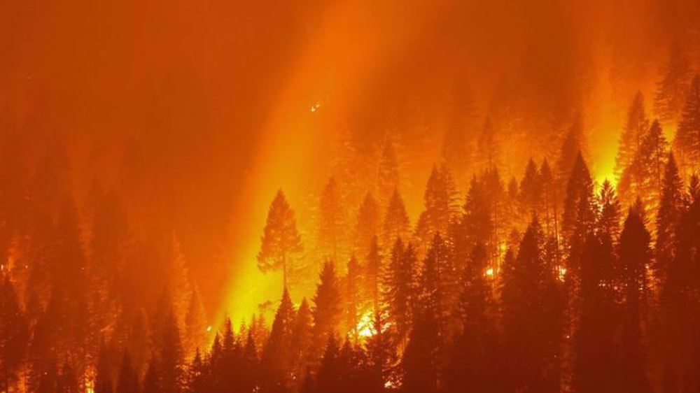 Americans say not enough is being done to fight climate change in US: Poll 