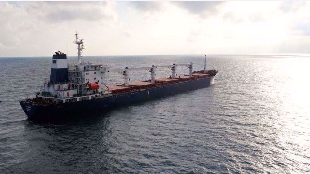 Russia halts grain deal after Ukraine attack on Black Sea fleet
