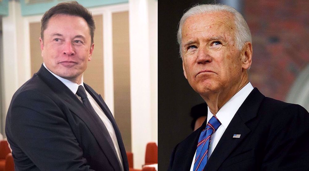 US Republicans hail Musk for exposing Biden family