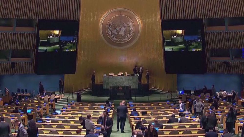 UN Palestine Resolution