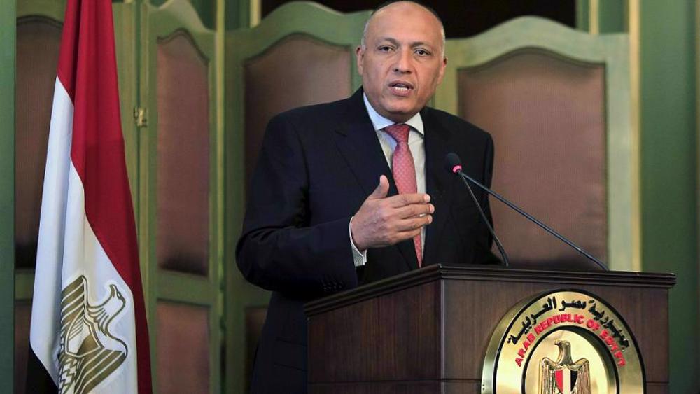Political settlement to Syria crisis must guarantee Damascus sovereignty: Egypt