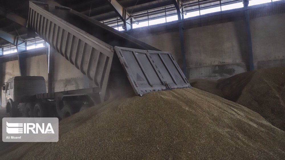 Iran’s wheat imports at 6.2 mln mt in 10 months to January 
