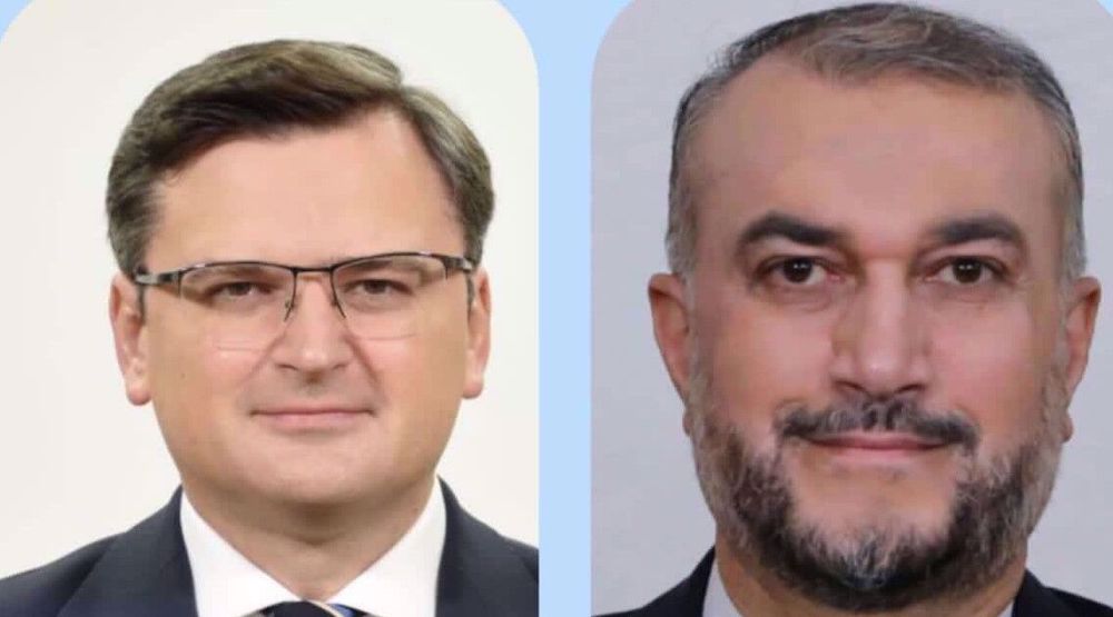FM: Iran supports any political effort to resolve Ukraine crisis