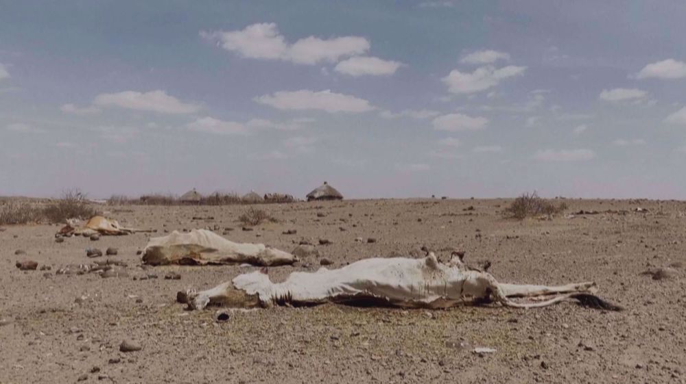 Ukraine war accelerates emergencies in Horn of Africa