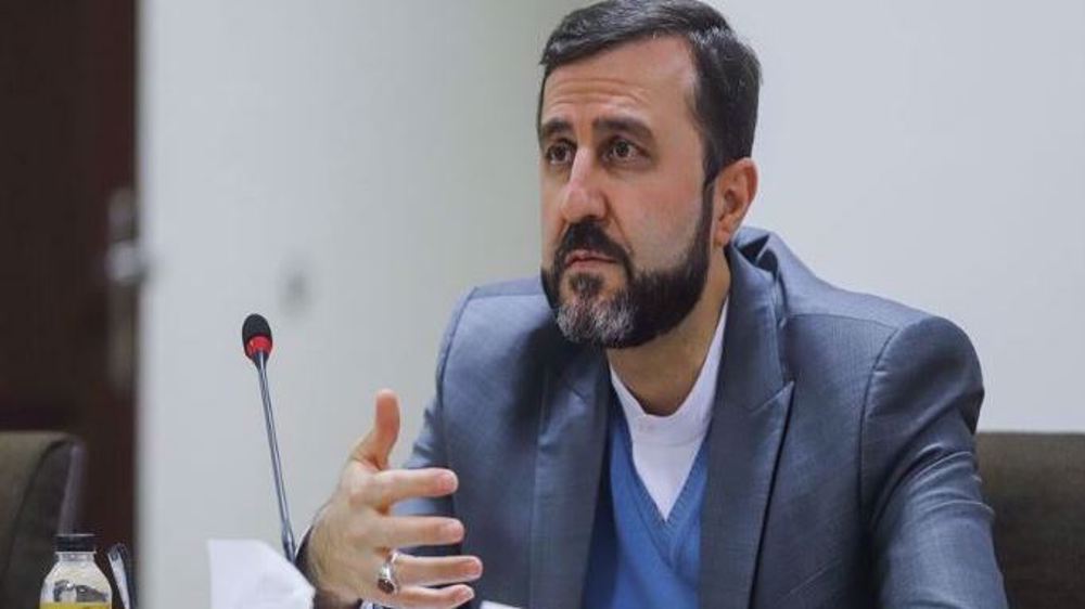 Rights official slams mistreatment of Iranian citizen in Denmark