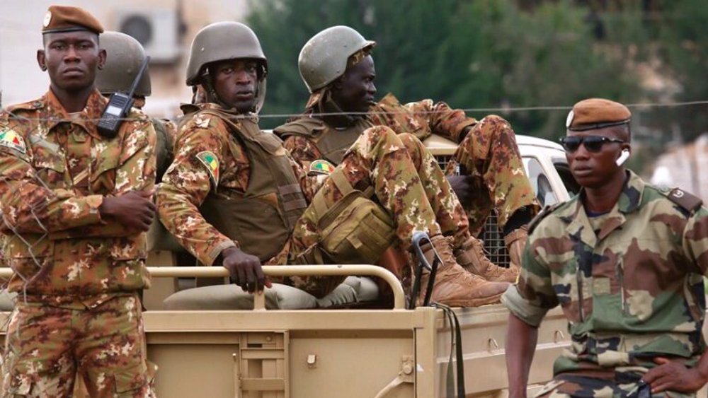Mali: Over 200 militants killed in military operation in Sahel
