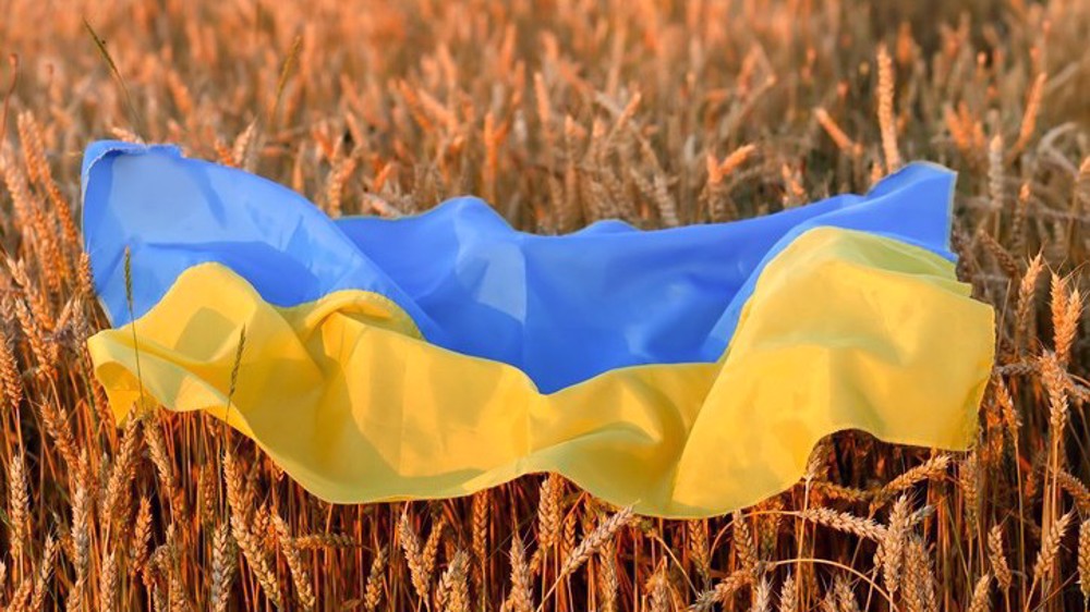 UN warns of rising global food insecurity due to Ukraine conflict