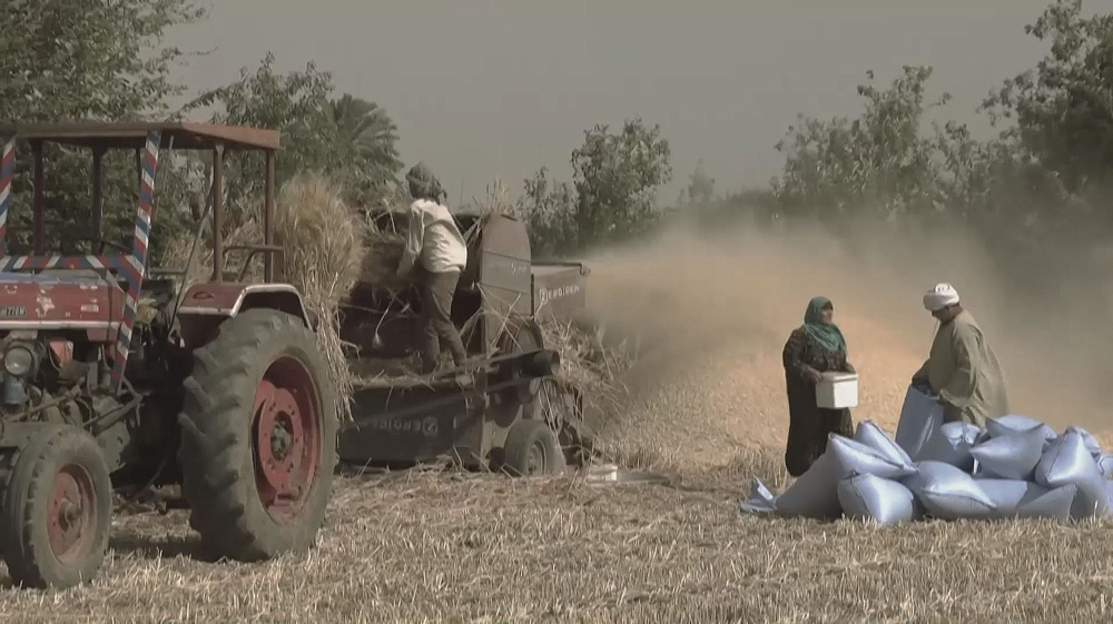 “World has only 10 weeks of wheat supply left”