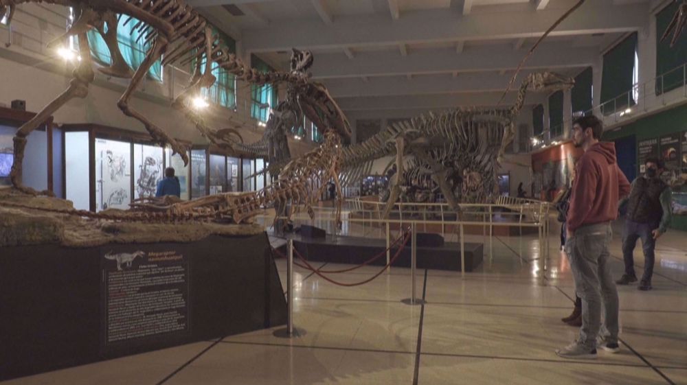 'Death shadow' dinosaur unearthed in Argentina