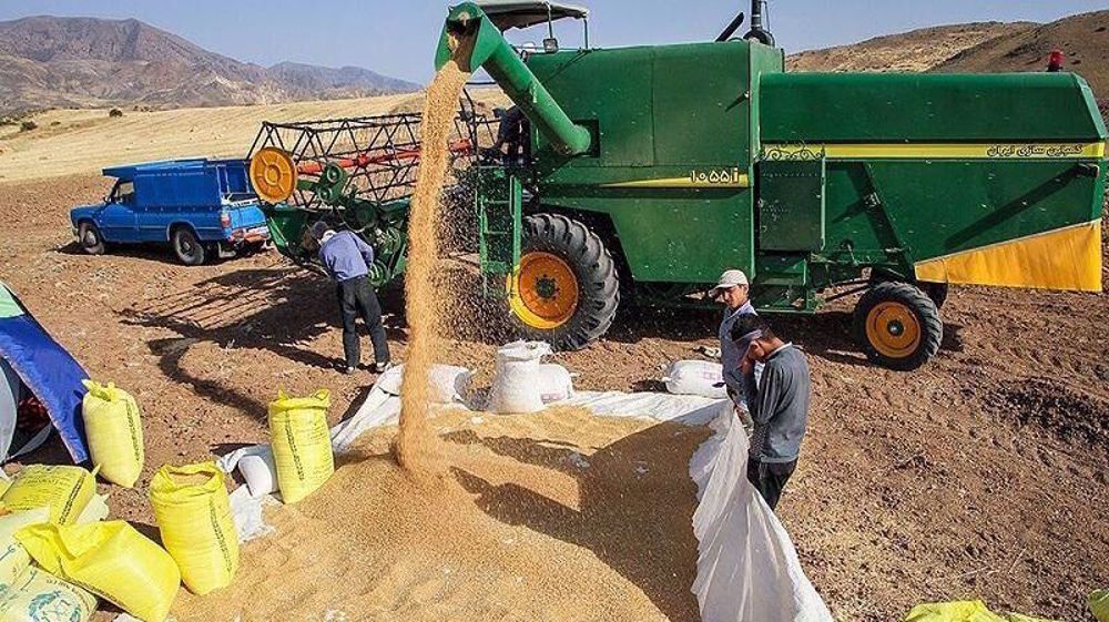How Ukraine war affects food security in Iran 