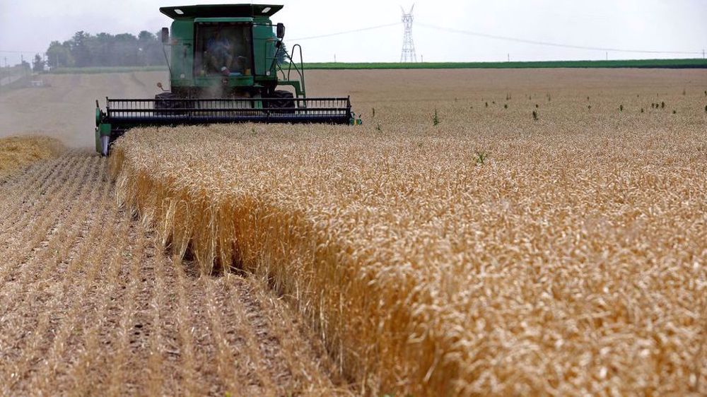Ukraine urges unblocking ports to prevent global food crisis