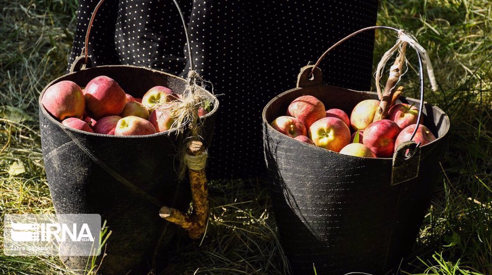 Pakistan agrees to import tariff of 5% for Iranian apple