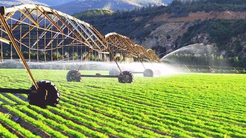Feeding the future: Iran gets major offers for overseas cultivation      