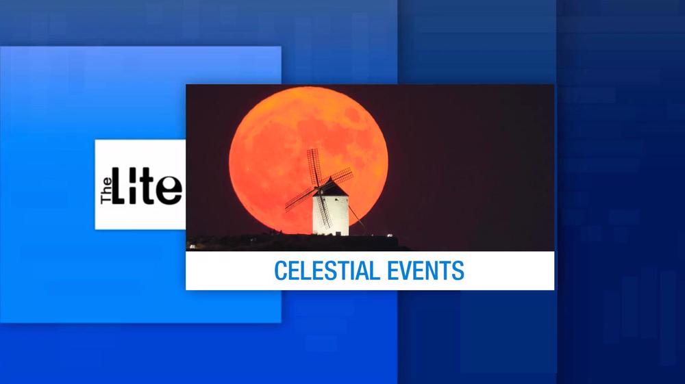 Press TV The Lite Bulletin