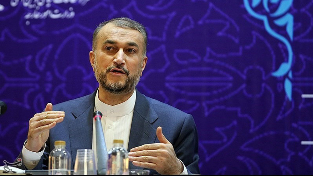 Referendum involving all people of Palestine sole solution to Palestinian issue: Iran's FM