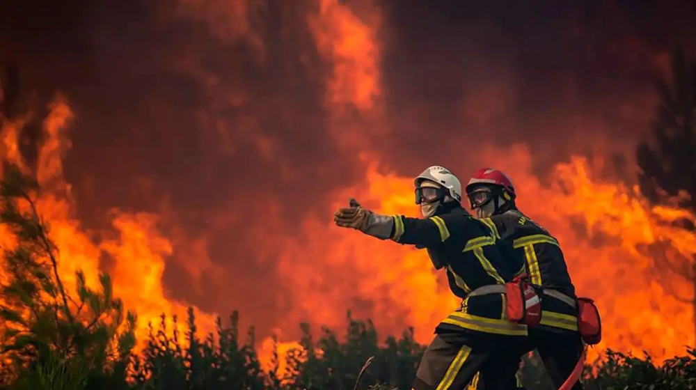 2,000 dead: Europe set for record forest loss as fires rage 