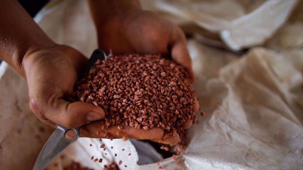 UN chief warns anti-Russia sanctions causing global food crisis