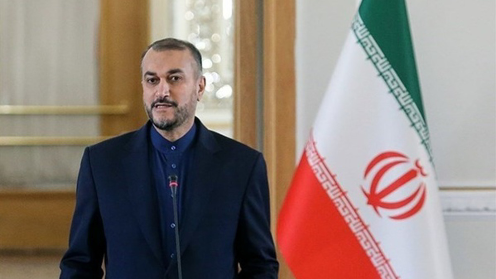 Iran carefully studying US response to JCPOA revival proposals: FM