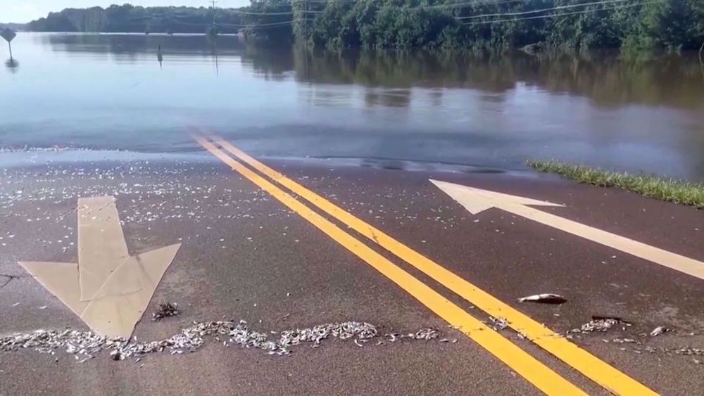 Mississippi calls in National Guard after state capital's water supply cut