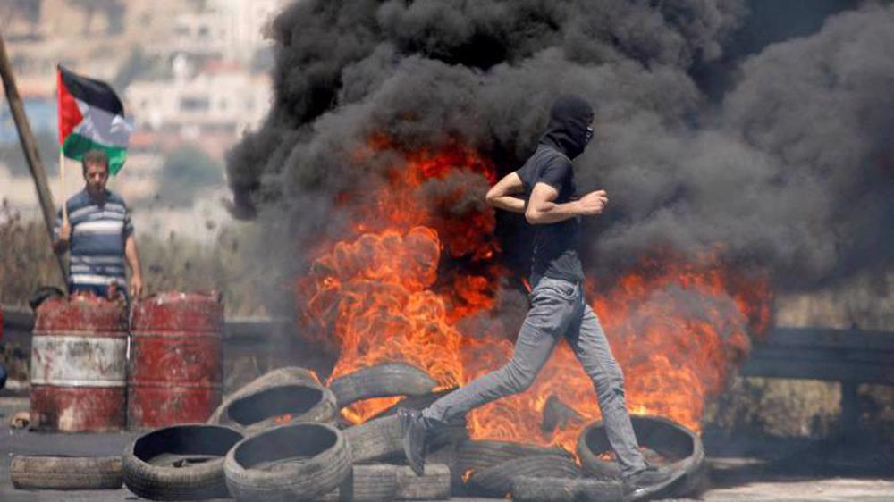 French legislators sign draft resolution condemning Israeli apartheid