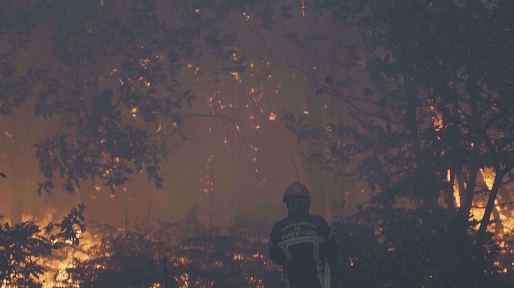 Fire in France: 600 hectares burnt, 500 threatened
