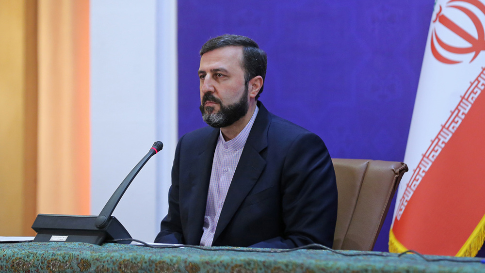 Iran won’t leave any safe spot for terror groups in world: Rights official 