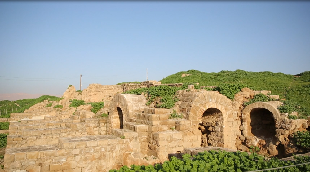 An Insider’s View of the Country: Natural beauties in Ilam and nature in Bushehr