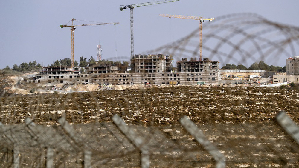 Israeli settlers set up new outpost in occupied West Bank