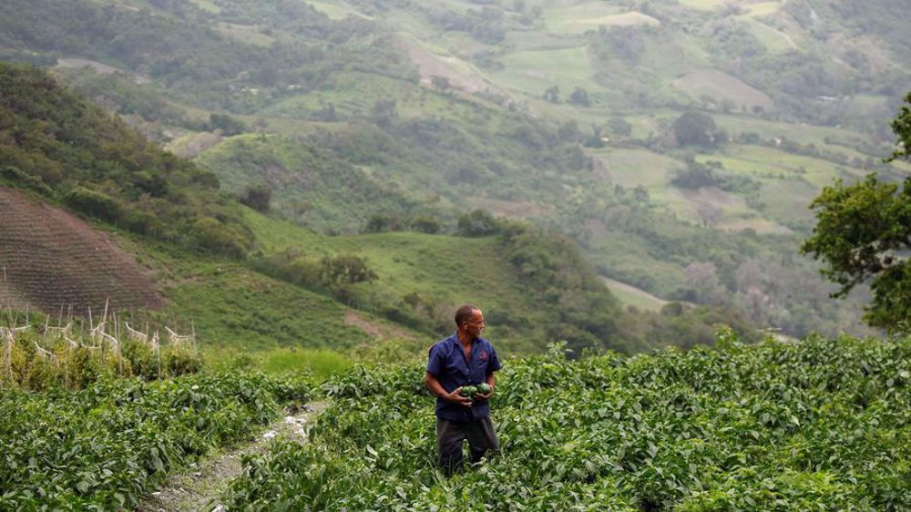Venezuela offers five million hectares for agricultural investment from Iran 