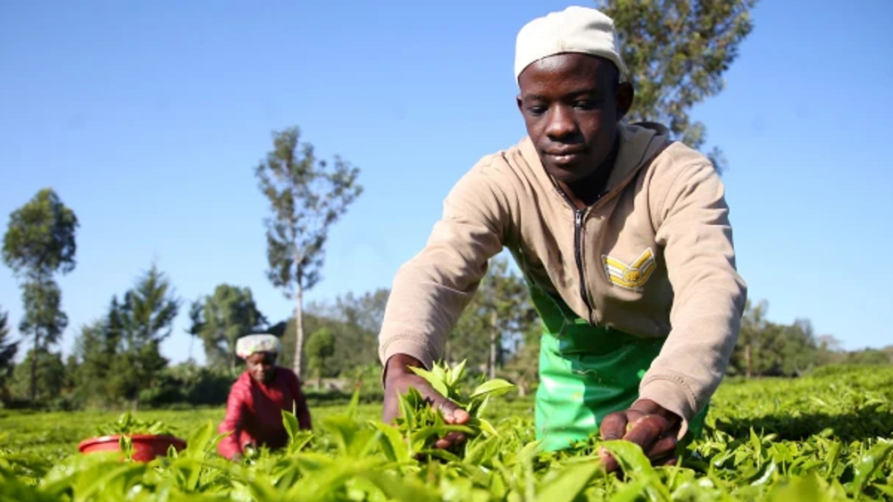 Kenya slams UK over 'act of gross inhumanity and injustice'