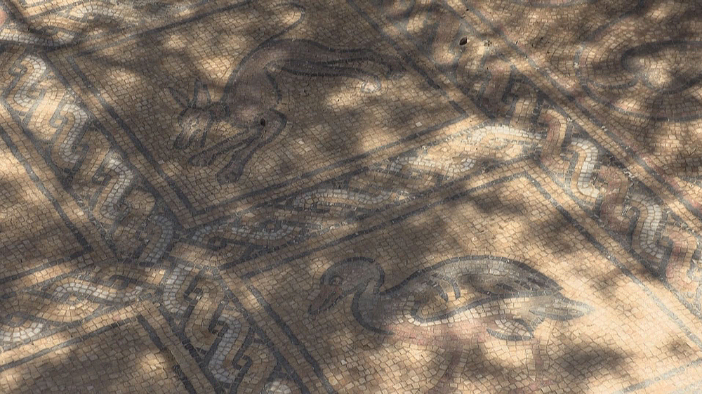 Palestinian farmer discovers rare ancient mosaic in Gaza