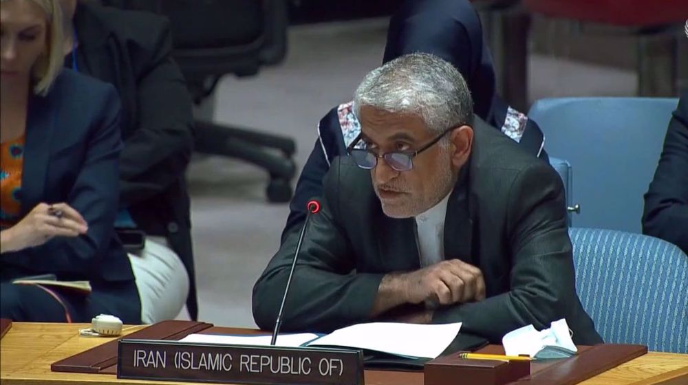 Iran calls on Security Council to support constructive Syria, OPCW interactions