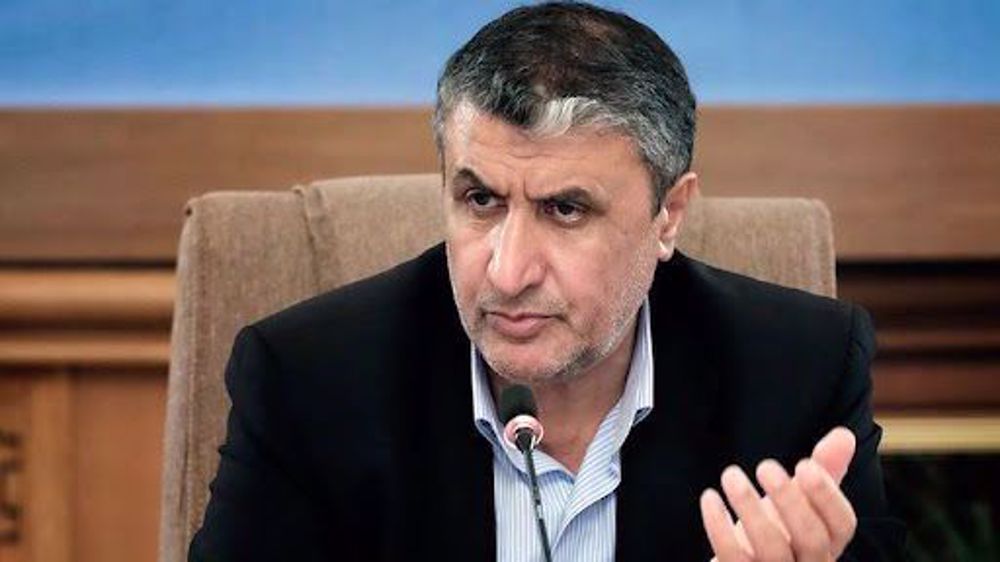 Iran seeks to become nuclear power plant hub soon: Nuclear chief