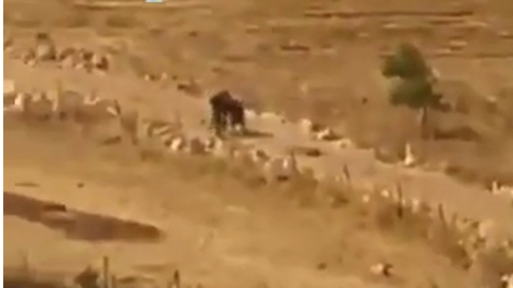 Machine de guerre, Israël, craque! 