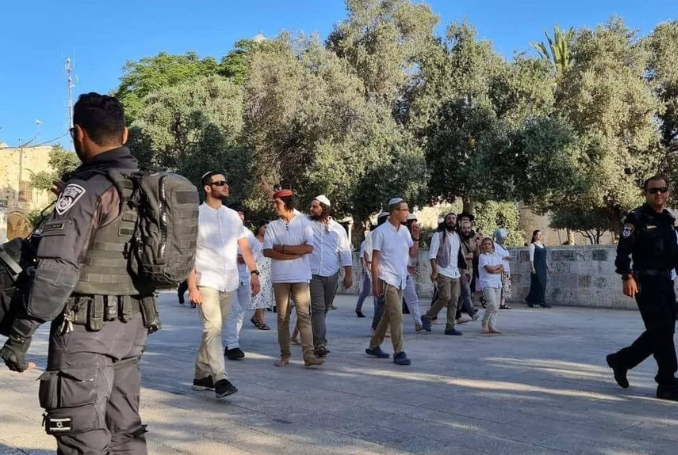 OIC condemns Israeli desecration of al-Aqsa, urges UNSC action
