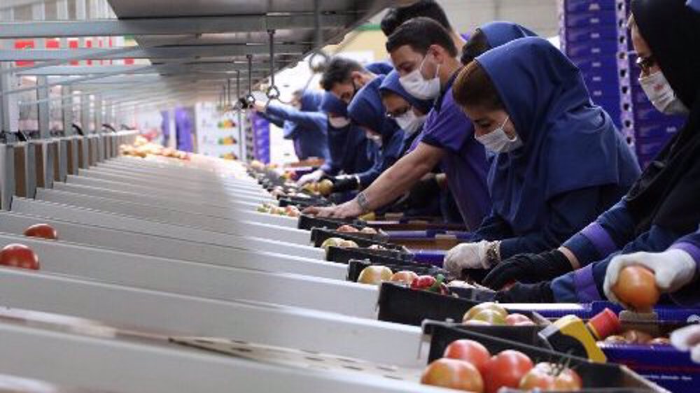 Iran’s jobless rate down 0.7% y/y in December quarter: SCI